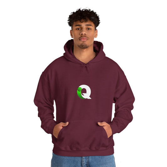 IQ Fashion | Unisex Heavy Blend™ Hooded Sweatshirt